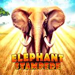 Elephant Stampede
